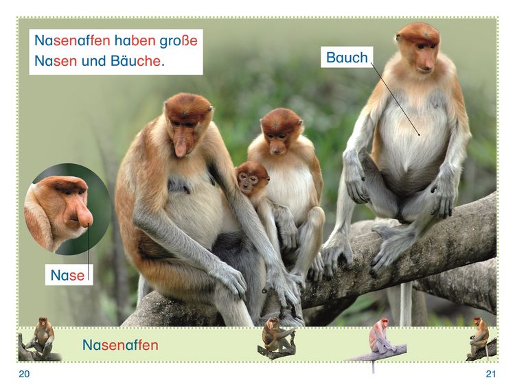 Produktbild: SUPERLESER! Zu Besuch bei den Affen