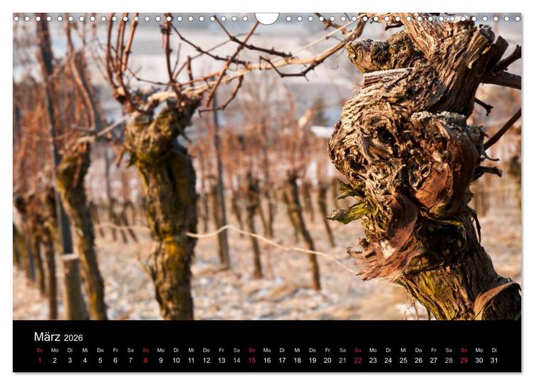 Produktbild: Weinberge im Remstal (Wandkalender 2026 DIN A3 quer), CALVENDO Monatskalender