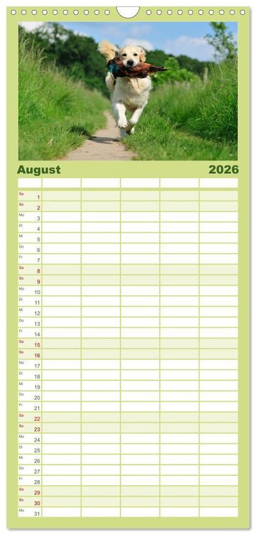 Produktbild: Familienplaner 2026 - Golden Retriever mit 5 Spalten (Wandkalender, 21 x 45 cm) CALVENDO