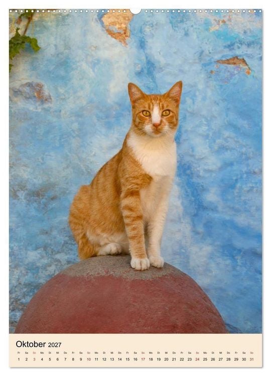 Produktbild: Katzen von Rhodos (hochwertiger Premium Wandkalender 2027 DIN A2 hoch), Kunstdruck in Hochglanz