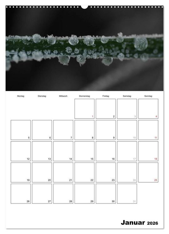 Produktbild: schwarz/wei&szlig; trifft farbe - DEIN TERMINKALENDER / Planer (Wandkalender 2026 DIN A2 hoch), CALVENDO Monatskalender