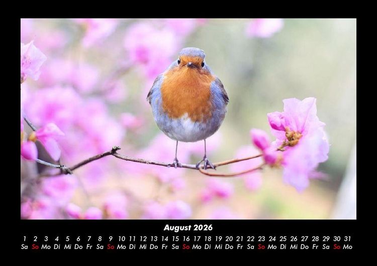 Produktbild: Vogelparadies 2026 Fotokalender DIN A3