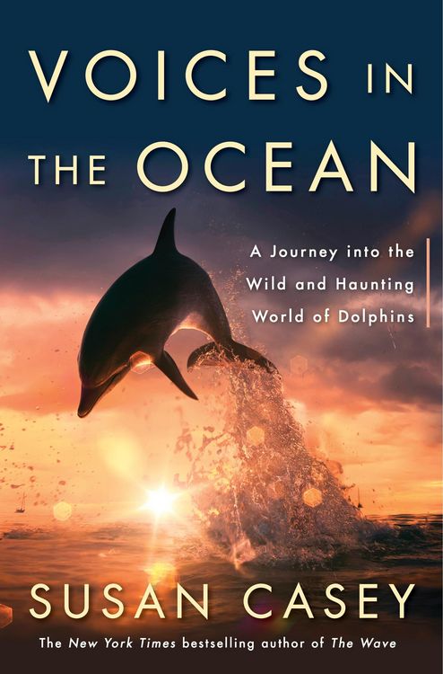 Produktbild: Voices in The Ocean