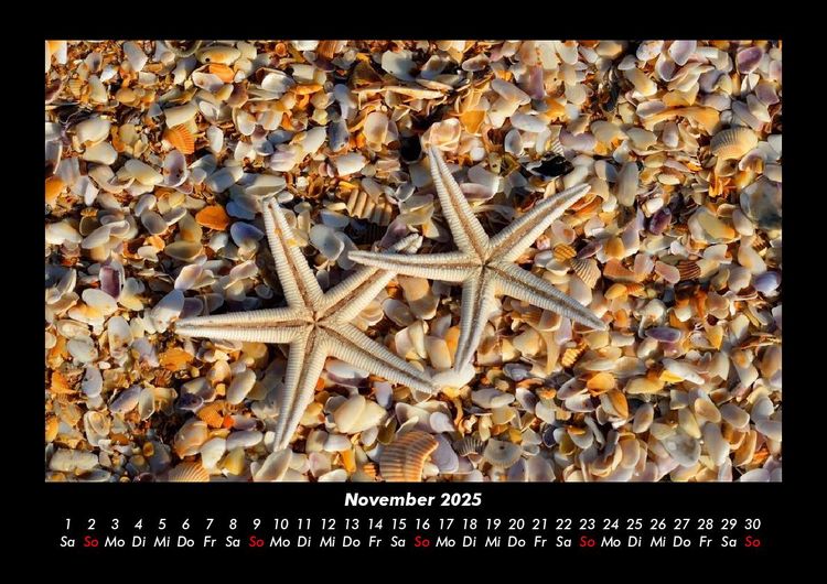 Produktbild: Sehnsucht nach Meer 2025 Fotokalender DIN A3