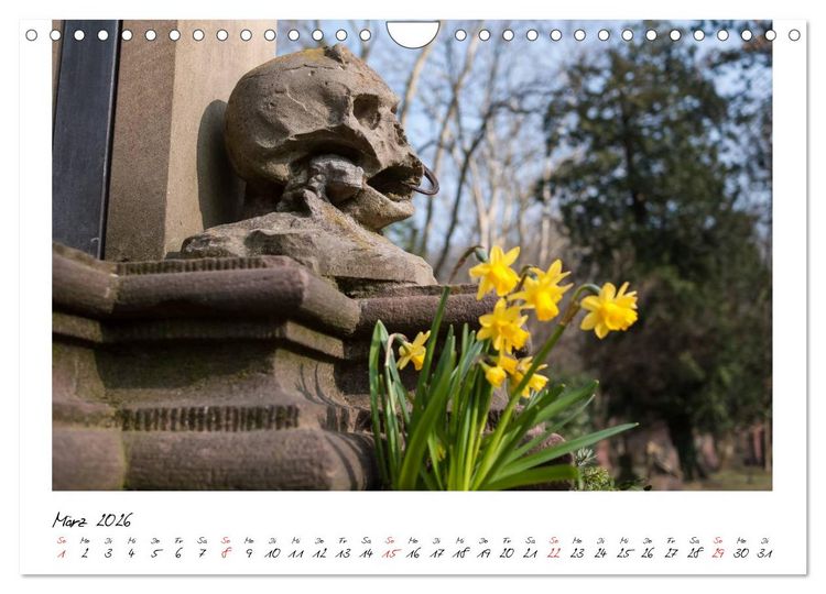 Produktbild: Alter Friedhof Freiburg (Wandkalender 2026 DIN A4 quer), CALVENDO Monatskalender