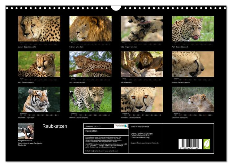 Produktbild: Raubkatzen (Wandkalender 2026 DIN A3 quer), CALVENDO Monatskalender
