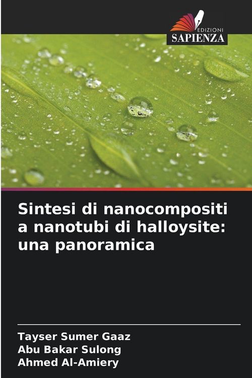 Produktbild: Sintesi di nanocompositi a nanotubi di halloysite: una panoramica