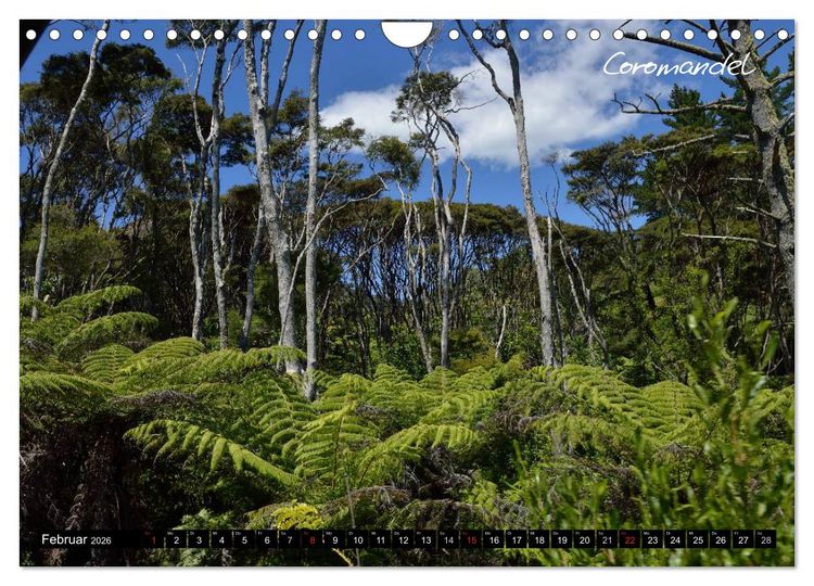Produktbild: Neuseeland (Wandkalender 2026 DIN A4 quer), CALVENDO Monatskalender