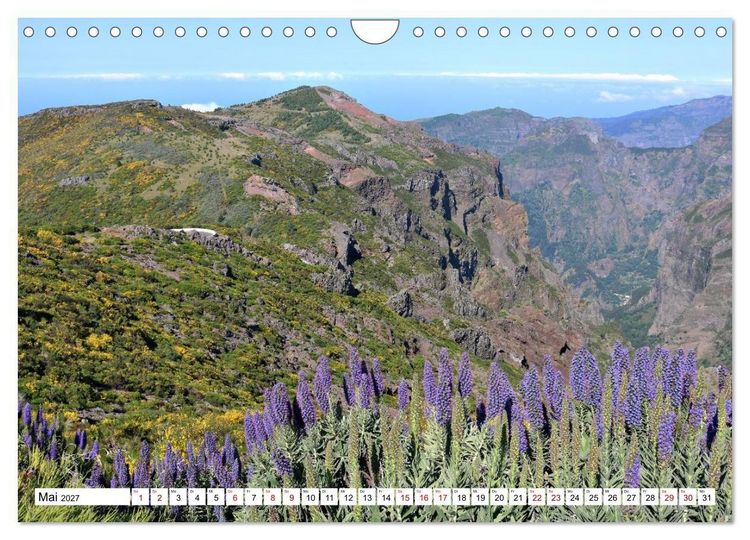 Produktbild: Bl&uuml;tenzauber auf Madeira. Wildblumen und Ziergew&auml;chse (Wandkalender 2027 DIN A4 quer), CALVENDO Monatskalender
