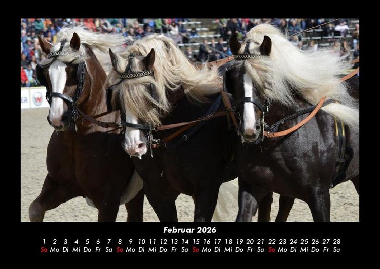 Produktbild: Die Welt der Pferde 2026 Fotokalender DIN A3