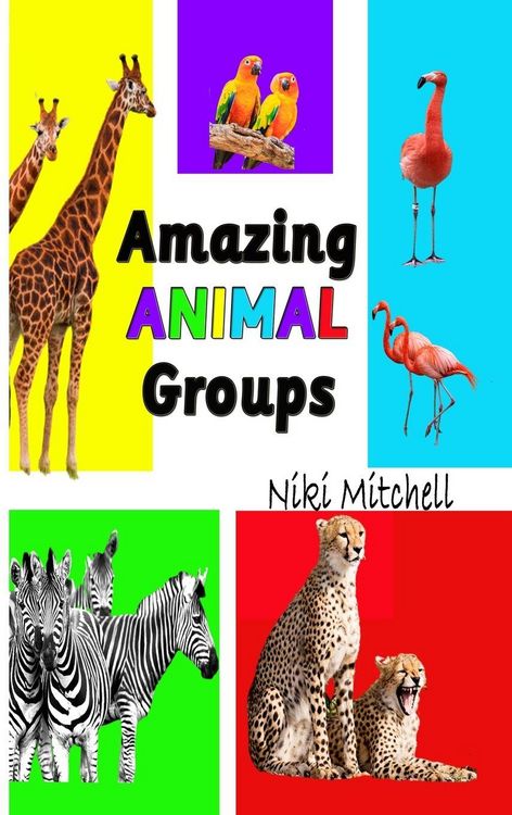Produktbild: Amazing Animal Groups
