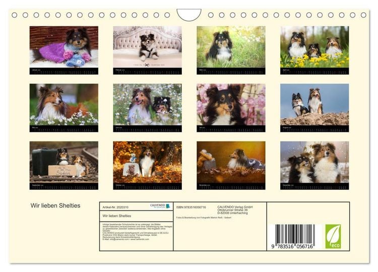 Produktbild: Wir lieben Shelties (Wandkalender 2026 DIN A4 quer), CALVENDO Monatskalender
