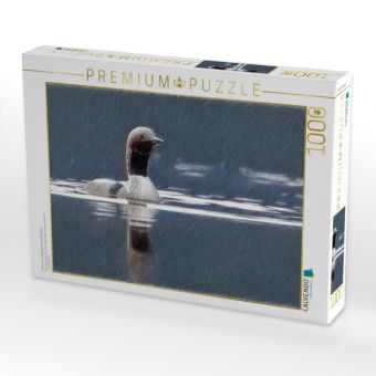 Produktbild: CALVENDO Puzzle Arktischer Prachttaucher, Moray Firth | 1000 Teile Lege-Gr&ouml;&szlig;e 64x48cm Foto-Puzzle f&uuml;r gl&uuml;ckliche Stunden