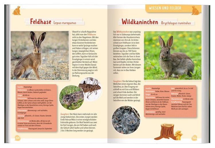 Mein großer Naturführer Tiere & Pflanzen