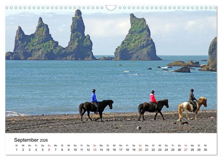 Produktbild: Die Pferde Islands - Ein Streifzug durch Island (Wandkalender 2026 DIN A3 quer), CALVENDO Monatskalender
