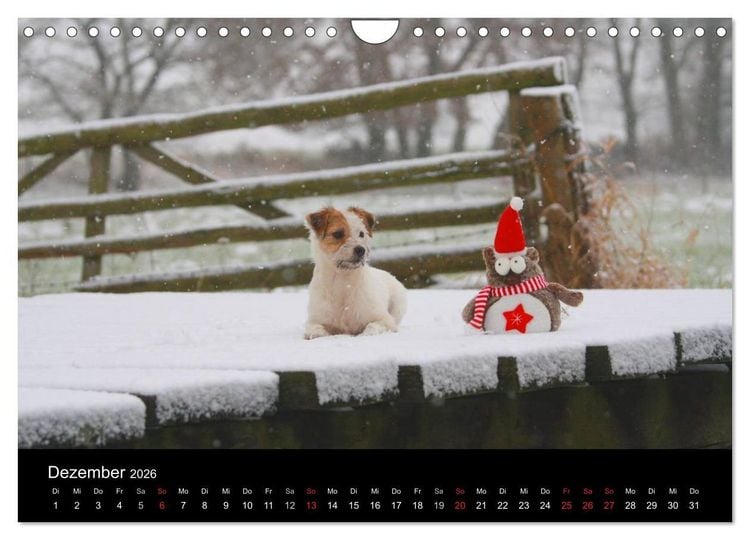 Produktbild: The Bravehearts und Freunde - Parson Russells (Wandkalender 2026 DIN A4 quer), CALVENDO Monatskalender
