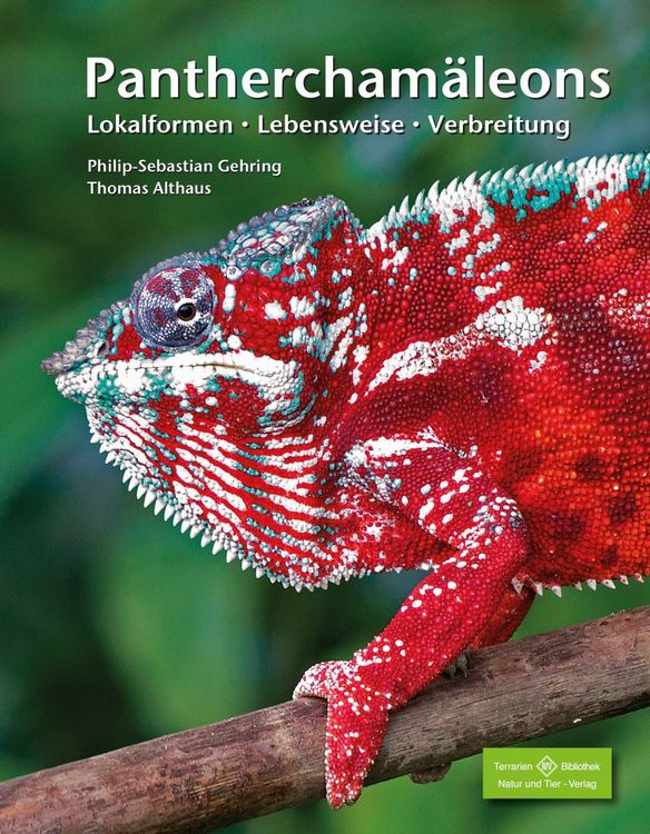 Produktbild: Panthercham&auml;leons