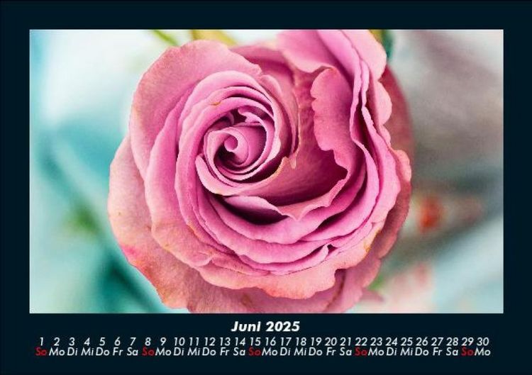Produktbild: Rosen-Kalender 2025 Fotokalender DIN A5