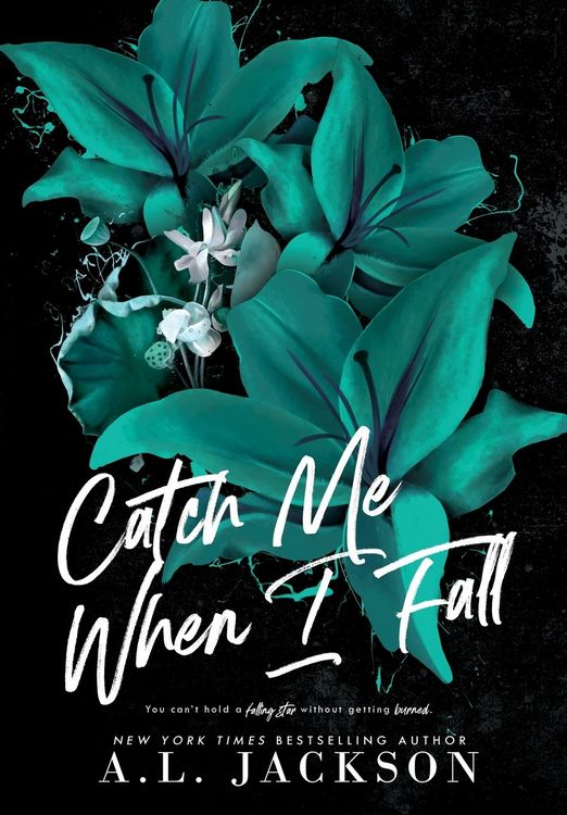 Produktbild: Catch Me When I Fall (Hardcover)