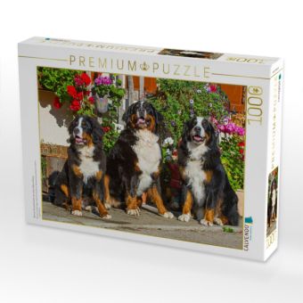 Produktbild: CALVENDO Puzzle Berner Sennenhunde vor einem Bauernhaus | 1000 Teile Lege-Gr&ouml;&szlig;e 64x48cm Foto-Puzzle f&uuml;r gl&uuml;ckliche Stunden