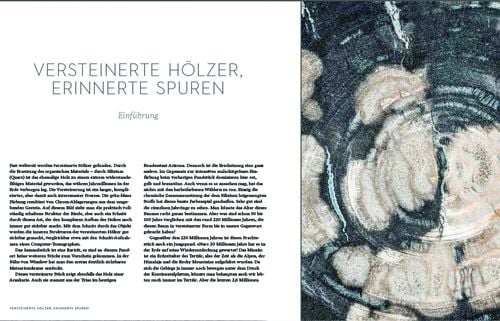 Produktbild: Das Gedächtnis der Bäume