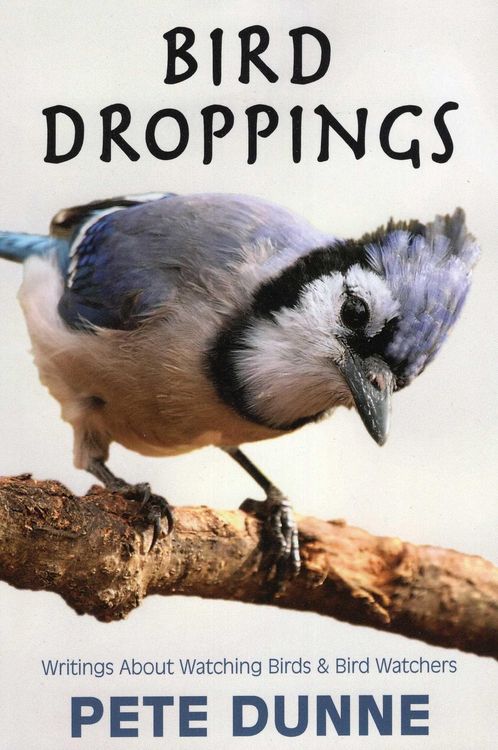 Produktbild: Bird Droppings