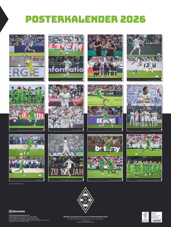 Produktbild von Borussia Mönchengladbach Pin Karneval 2026 | Offizieller