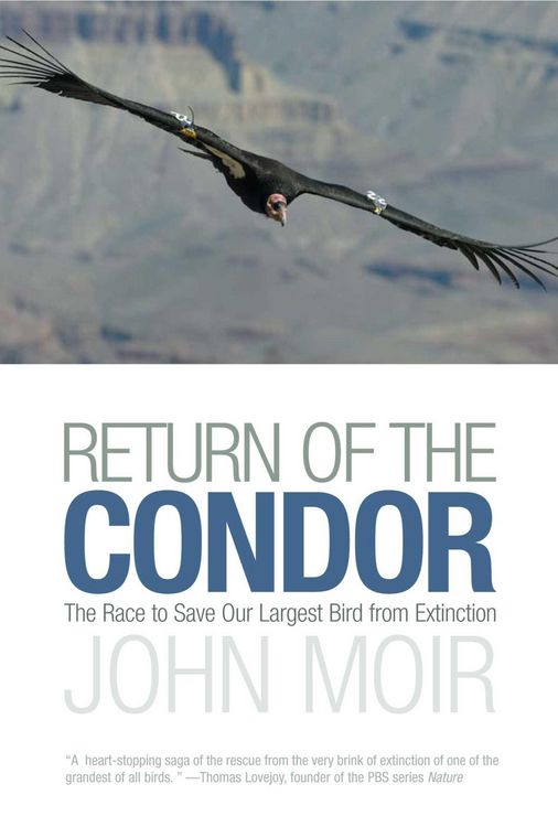 Produktbild: Return of the Condor