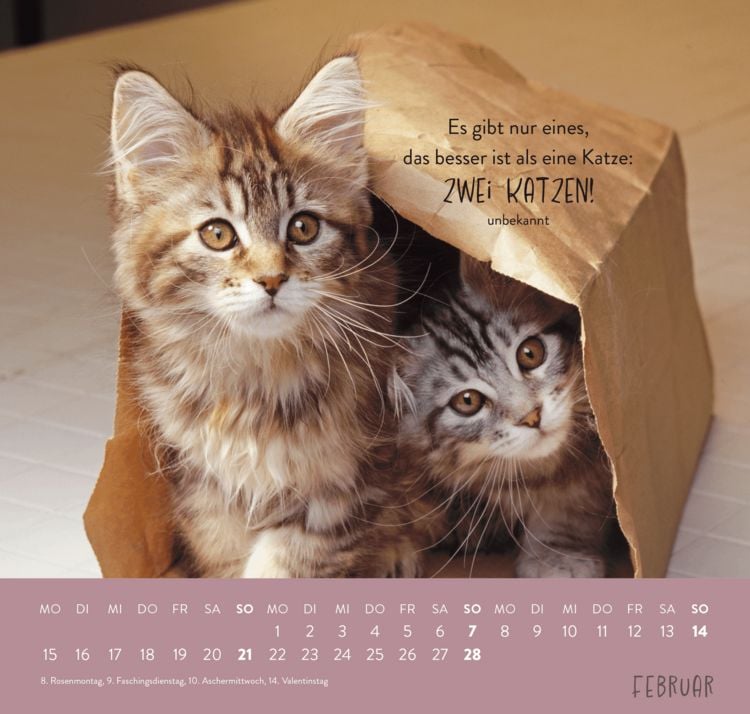 Produktbild: Wandkalender 2027: F&uuml;r Katzenfreunde