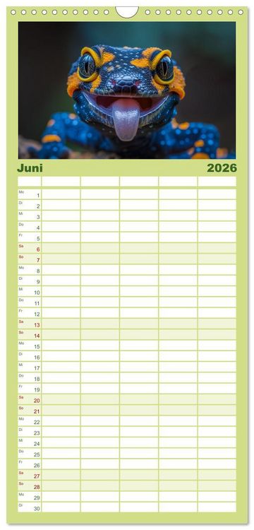 Produktbild: Familienplaner 2026 - Kleine Echsen haben Spass mit 5 Spalten (Wandkalender, 21 x 45 cm) CALVENDO