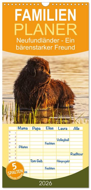 Produktbild: Familienplaner 2026 - Neufundl&auml;nder - Ein b&auml;renstarker Freund mit 5 Spalten (Wandkalender, 21 x 45 cm) CALVENDO