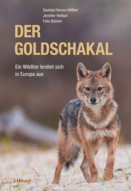 Produktbild: Der Goldschakal