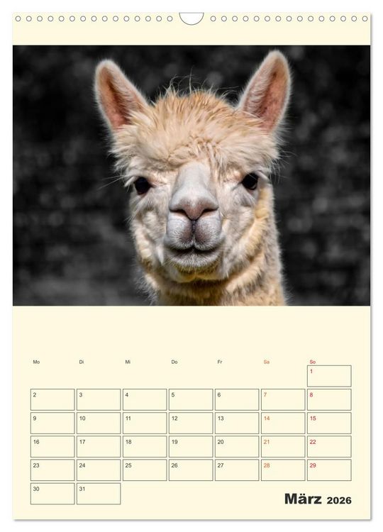 Produktbild: Putzige Alpakas (Wandkalender 2026 DIN A3 hoch), CALVENDO Monatskalender