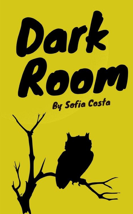 Produktbild: Dark Room