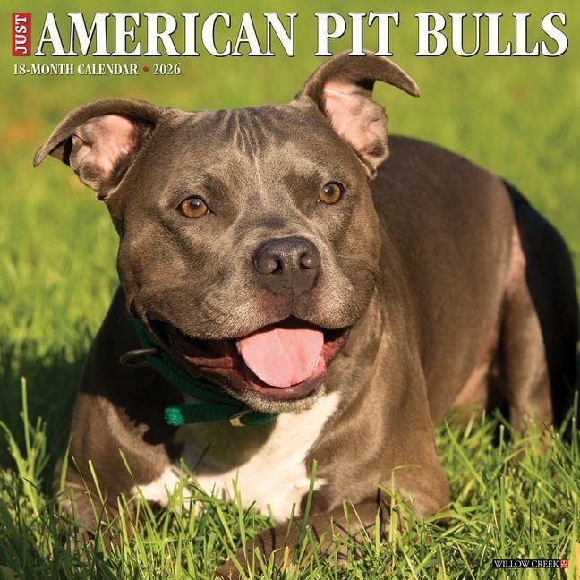 Produktbild: American Pit Bull Terriers 2026 Wall Calendar