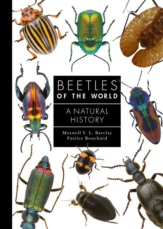 Produktbild: Beetles of the World