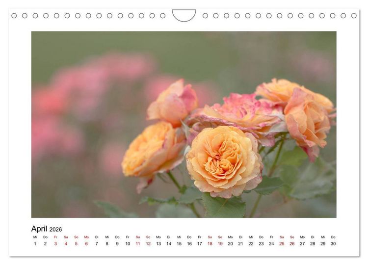 Produktbild: Oranger Bl&uuml;tentraum (Wandkalender 2026 DIN A4 quer), CALVENDO Monatskalender