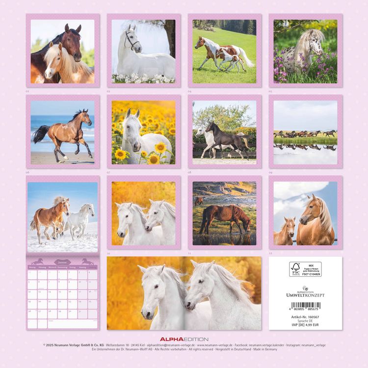 Mein Pferdekalender 2026 - Broschürenkalender 30x30 cm (30x60 geöffnet) - Kalender mit Platz für Notizen - Bildkalender - Wandplaner - Wandkalender