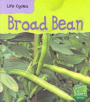 Produktbild: Broad Bean