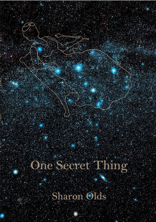 Produktbild: One Secret Thing