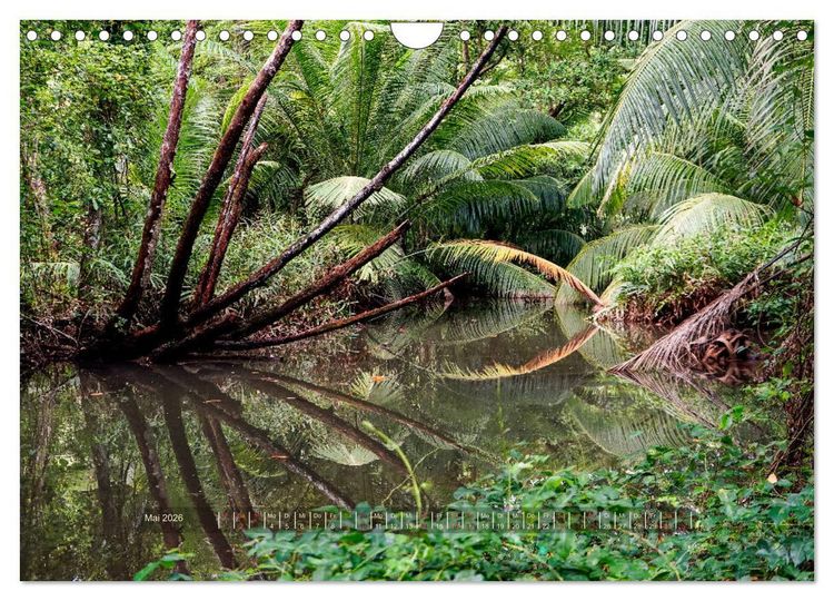 Produktbild: Seychellen - Inselparadiese Mah&eacute; La Digue Praslin (Wandkalender 2026 DIN A4 quer), CALVENDO Monatskalender