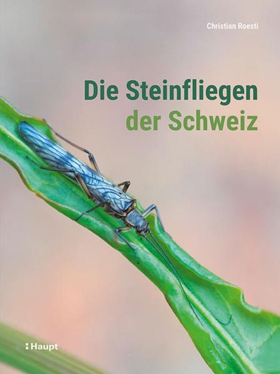 Produktbild: Die Steinfliegen der Schweiz
