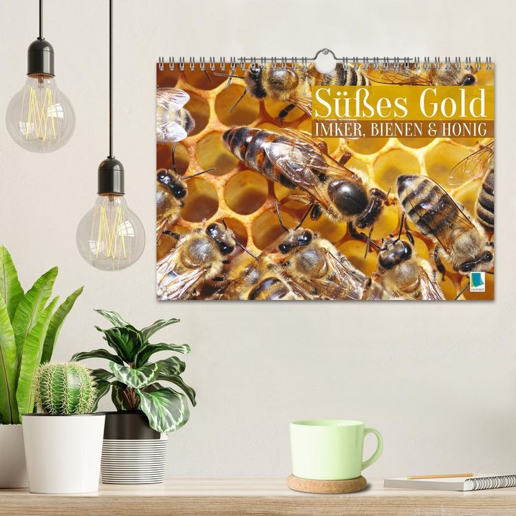 Produktbild: S&uuml;&szlig;es Gold: Imker, Bienen & Honig (Wandkalender 2026 DIN A4 quer), CALVENDO Monatskalender