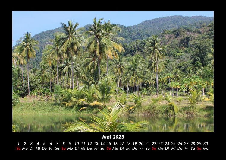 Produktbild: Palmentraum 2025 Fotokalender DIN A3