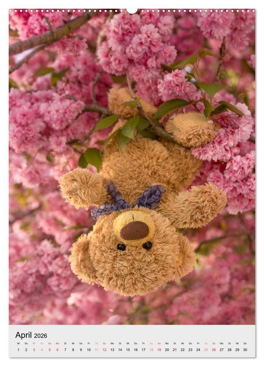 Produktbild: Travelling Teddy liebt es Bunt (Wandkalender 2026 DIN A2 hoch), CALVENDO Monatskalender