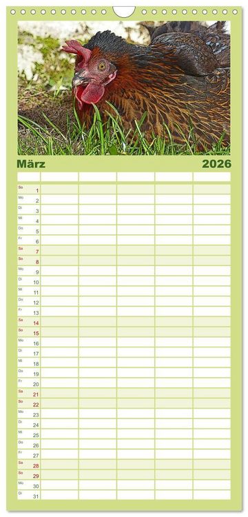 Produktbild: Familienplaner 2026 - Die H&uuml;hner sind los! mit 5 Spalten (Wandkalender, 21 x 45 cm) CALVENDO