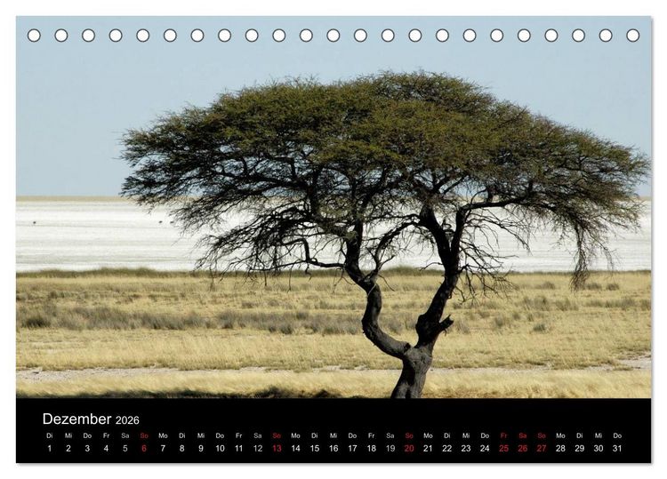 Produktbild: Afrika (Tischkalender 2026 DIN A5 quer), CALVENDO Monatskalender