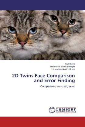 Produktbild: Saha, R: 2D Twins Face Comparison and Error Finding