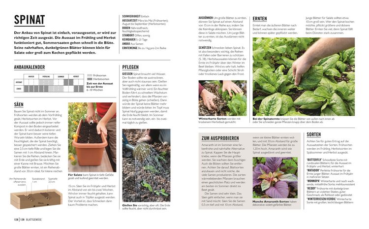 Produktbild: Gr&uuml;nes Gartenwissen. Gem&uuml;se anbauen