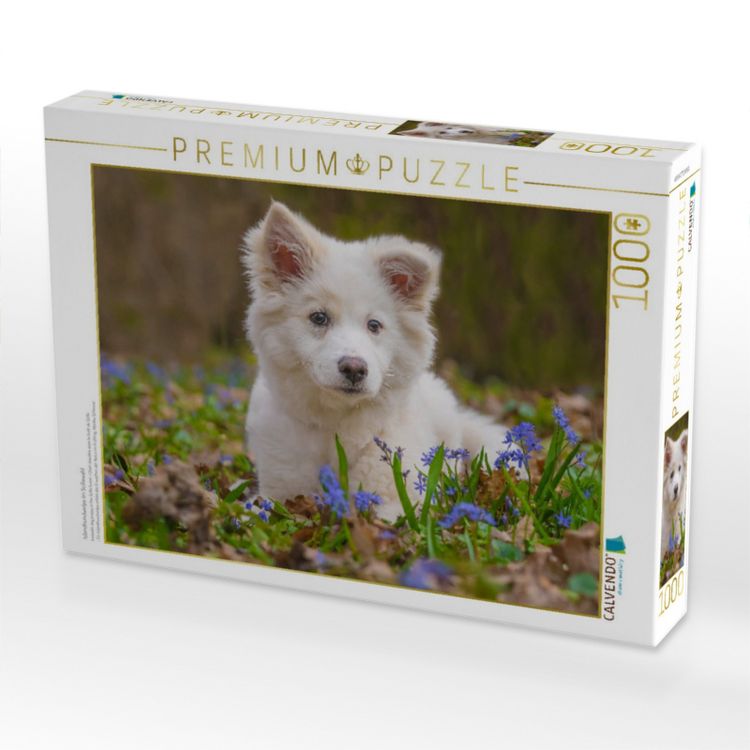 Produktbild: CALVENDO Puzzle Islandhundwelpe im Scillawald | 1000 Teile Lege-Gr&ouml;&szlig;e 64x48cm Foto-Puzzle f&uuml;r gl&uuml;ckliche Stunden